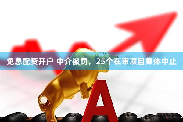 免息配资开户 中介被罚，25个在审项目集体中止